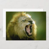 ローアリングライオン招待状 招待状 (正面/裏面)