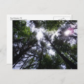 ローアン山の木に太陽 ポストカード (正面/裏面)