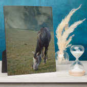 ローアン馬がパドックで放牧し フォトプラーク (側面)