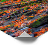 ローアーダンディー秋、ビーチシティワイルダネスエリア、OH ポスター (角)