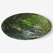 ローイングウォータークリークアットホテルレイニエ山国立公園 ペーパープレート (アングル)