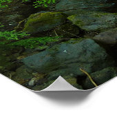 ローイングウォータークリークアットホテルレイニエ山国立公園 ポスター (角)