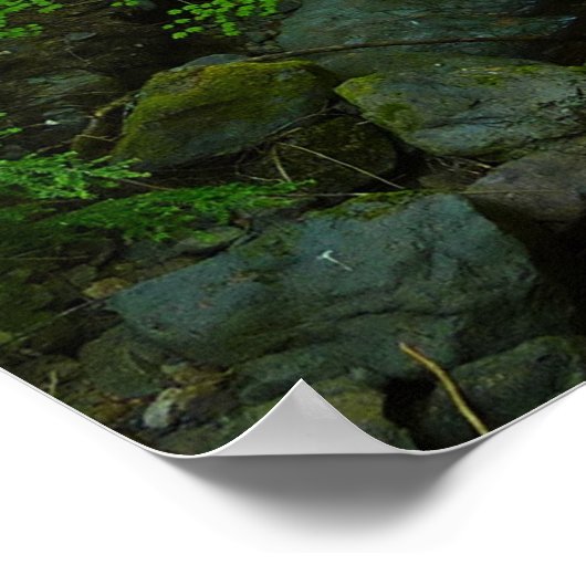 ローイングウォータークリークアットホテルレイニエ山国立公園 ポスター (角)