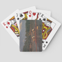 ローイングボートレース