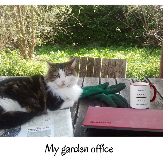 ローイング両面名前をカスタムするボウ2乗組員 コーヒーマグカップ