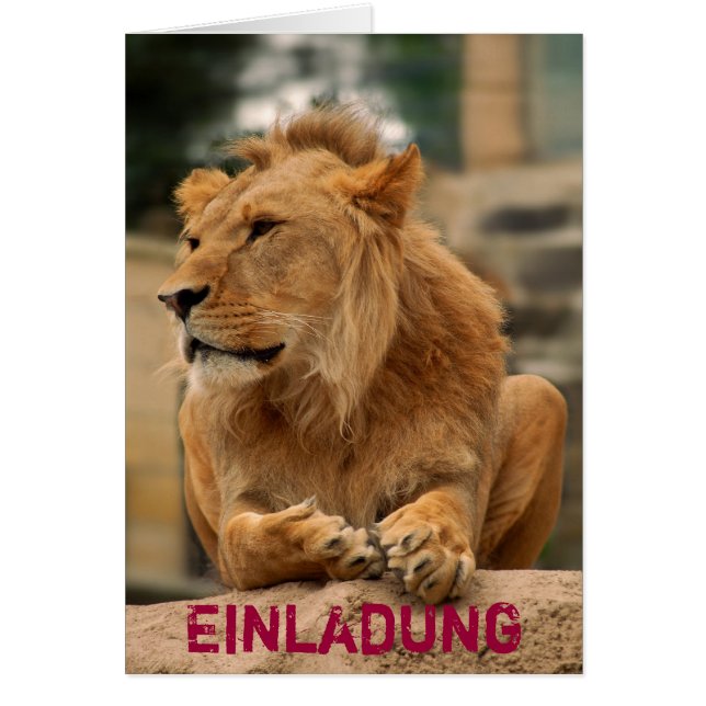 ローウェミットパンカーフリスル (正面)