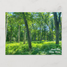 ローウェルパークディクソンのイリノイ葉書