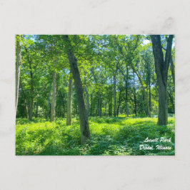 ローウェルパークディクソンのイリノイ葉書 ポストカード
