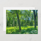 ローウェルパークディクソンのイリノイ葉書 ポストカード (正面/裏面)