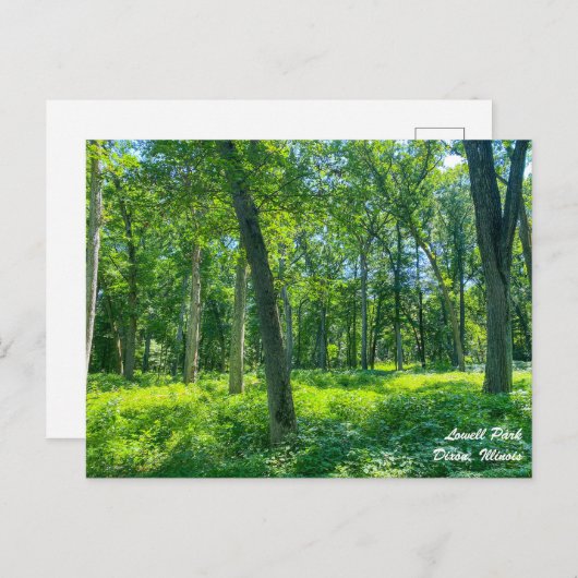 ローウェルパークディクソンのイリノイ葉書 ポストカード (正面/裏面)