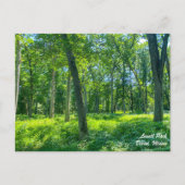 ローウェルパークディクソンのイリノイ葉書 ポストカード (正面)