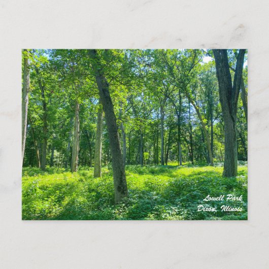 ローウェルパークディクソンのイリノイ葉書 ポストカード (正面)