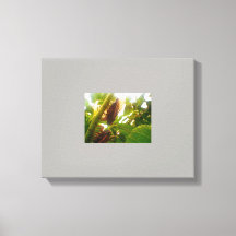 ローカストカントリーキャンバス写真