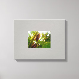 ローカストカントリーキャンバス写真 キャンバスプリント