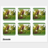 ローカストカントリースクエア光沢ステッカー スクエアシール (シート)