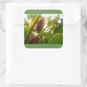 ローカストカントリースクエア光沢ステッカー スクエアシール (バッグ)