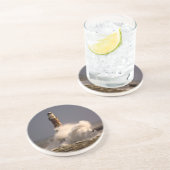 ローカーライトハウスコースター コースター (側面)