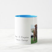 ローガン及びキングストンコロラドスプリングス マグカップ (中央)