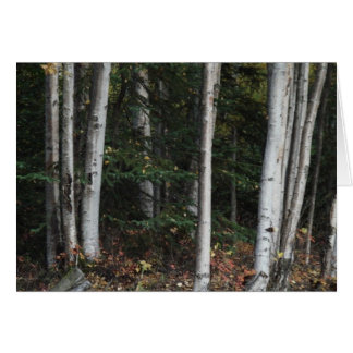 ローガンGuinn著木のための森林