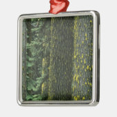 ローグ·リバー国有林アシュランド山 メタルオーナメント (左)