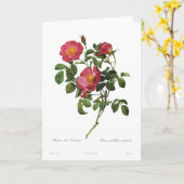 ローザのgallicaのpumila カード (黄色い花)