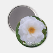 ローザアイスバーグ マグネット (正面/裏面)