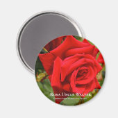 ローザアンクルウォルター マグネット (正面/裏面)