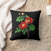 ローザエグランテリア クッション (ブランケット)