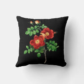 ローザエグランテリア クッション (裏面)