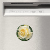 ローザエリナ マグネット (インサイチュ (食洗機))