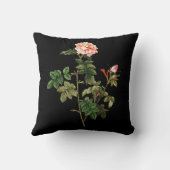 ローザオルベサネア装飾用クッション クッション (裏面)