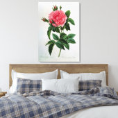 ローザガリカレガリス キャンバスプリント (インサイチュ (寝室))