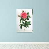ローザガリカレガリス キャンバスプリント (インサイチュ (ウッドフロア))