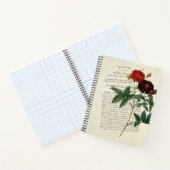 ローザガリカヴァンイーデンガーデナー ノートブック (内部)