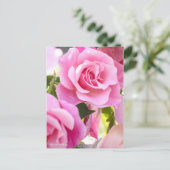 ローザスペインの美しい[葉書] ポストカード (スタンド正面)