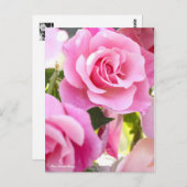 ローザスペインの美しい[葉書] ポストカード (正面/裏面)