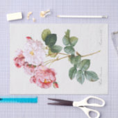 ローザダマセナ 薄葉紙 (クラフト)