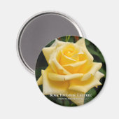 ローザトゥールーズロートレック マグネット (正面/裏面)