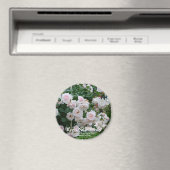 ローザニュードーン マグネット (インサイチュ (食洗機))