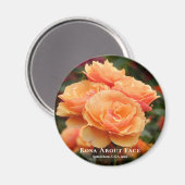 ローザバージョン顔 マグネット (正面/裏面)