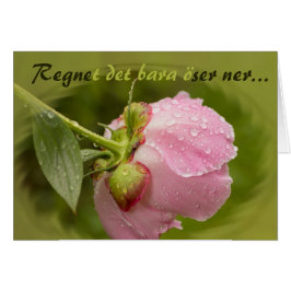 ローザパイがグリトレンドヴェントドロップパーCC0779