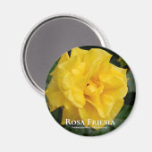 ローザフリーシア マグネット (正面/裏面)