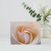 ローザブランカ ポストカード (スタンド正面)