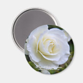 ローザホワイトアローマグネット マグネット (正面/裏面)