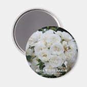 ローザホワイト矢印 マグネット (正面/裏面)