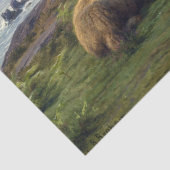 ローザボヌール |海の羊 薄葉紙 (詳細)