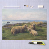 ローザボヌール |海の羊 薄葉紙 (クラフト)