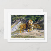 ローザボネール#111 -ファインアート ポストカード (正面/裏面)