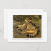 ローザボネール#11 -ファインアート ポストカード (正面/裏面)