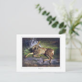 ローザボネール#127 -ファインアート ポストカード (スタンド正面)